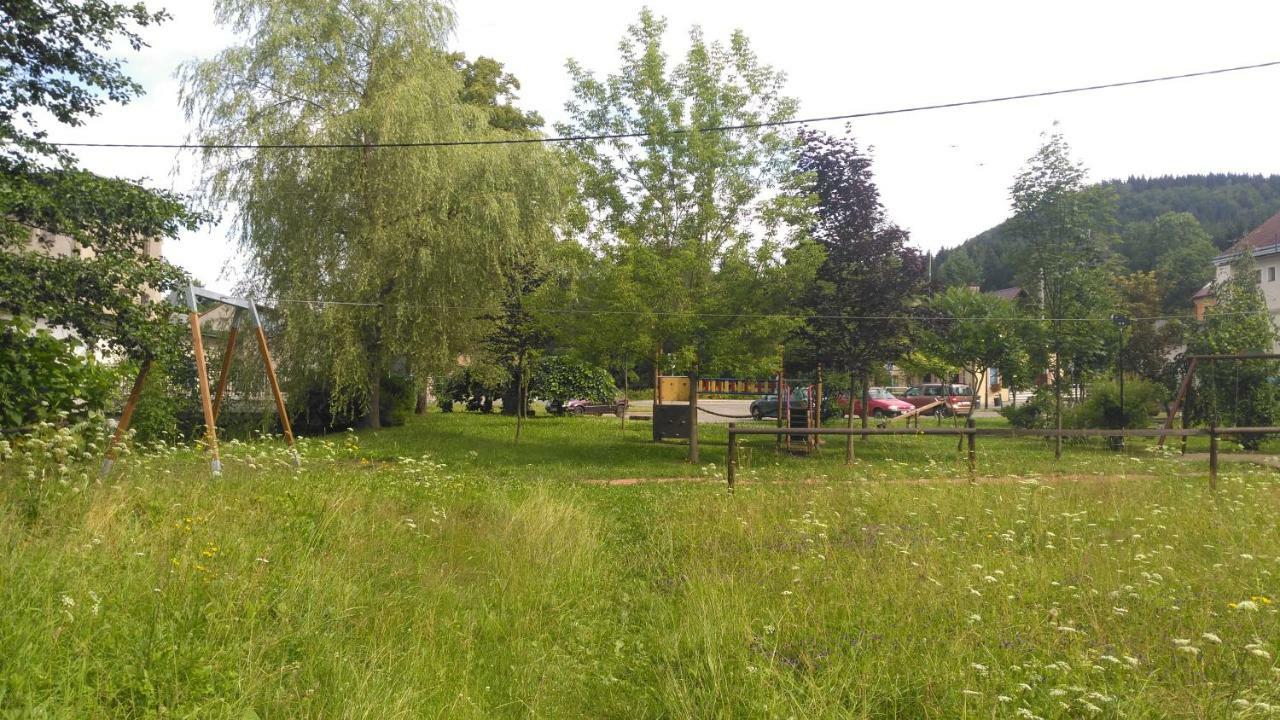 Ubytovani U Svecu U Adrspachu Jivka Экстерьер фото